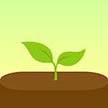 forest软件下载_forest专注森林app下载 v4.81.0中文官方版