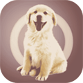 人狗交流器中文版下载_人狗交流器app下载 v2.0.8免费版