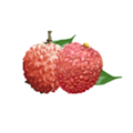 增城泊车手机版下载_增城泊车app下载 v1.5.8免费版