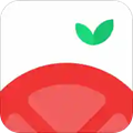 番茄时钟官方版下载_番茄时钟app下载 v3.2.1免费版