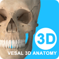 维萨里3D解剖软件下载_维萨里3d解剖app下载 v6.8.2安卓版
