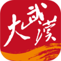 大武汉安卓版下载_大武汉app下载 v7.6.4最新免费版