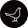 小鸟耳机app下载_libratone app下载 v8.1.8蓝牙软件官方安卓版