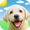 狗语狗狗翻译器软件下载_狗语狗狗翻译器app下载 v1.5.2免费版