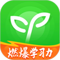 沪江网校官方下载_沪江网校app下载 v5.15.44安卓版