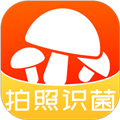 菌窝子软件下载_菌窝子app下载 v4.3.3官方免费版