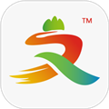 山东省文旅通安卓版下载_山东省文旅通app下载 v2.4.0最新版