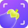 茄子相机安卓版下载_茄子相机app下载 v2.0.2.1最新版