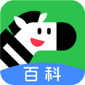 斑马百科app下载_斑马百科安卓版下载 v2.9.0官方最新版