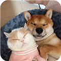 萌趣猫狗翻译器软件下载_萌趣猫狗翻译器app下载 v1.2.8最新版
