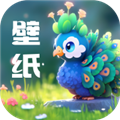 孔雀壁纸下载免费版_孔雀壁纸app最新版下载 v1.0.2安卓版