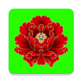 绿植花卉软件下载_绿植花卉app下载 v10.0.6最新版