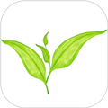 生态大师软件下载_生态大师app下载 v1.1.0手机版