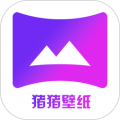 猪猪壁纸app下载_猪猪壁纸手机版下载 v2.0.3最新版