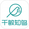 千敏知鸟官方版下载_千敏知鸟app下载 v1.1.7安卓版