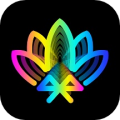 宝莲灯pro安卓版下载_宝莲灯pro最新版下载 v5.1.04免费版