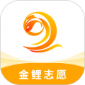 金鲤志愿软件下载_金鲤志愿app下载 v3.1.3安卓版