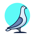 鸽手app下载_鸽手最新版下载 v3.8.4安卓版