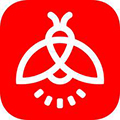火萤视频壁纸手机版下载_火萤视频壁纸下载 v10.2.3安卓版