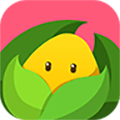 美柚孕期手机版下载_美柚孕期app下载 v6.0.5最新版