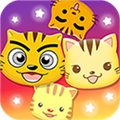 星猫广场app下载_星猫广场安卓版下载 v2.7.2.6最新版