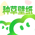 种草壁纸软件下载_种草壁纸app下载 v1.0.4安卓版