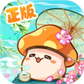 冒险岛枫之传说测试服下载_冒险岛枫之传说测试版下载 v2.210.2574安卓版