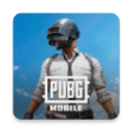 PUBGMobile手游日服下载_PUBG Mobile日服下载 v3.8.0最新版