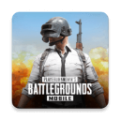 pubg手游日韩版下载_pubg手游韩服下载 v3.8.0安卓版